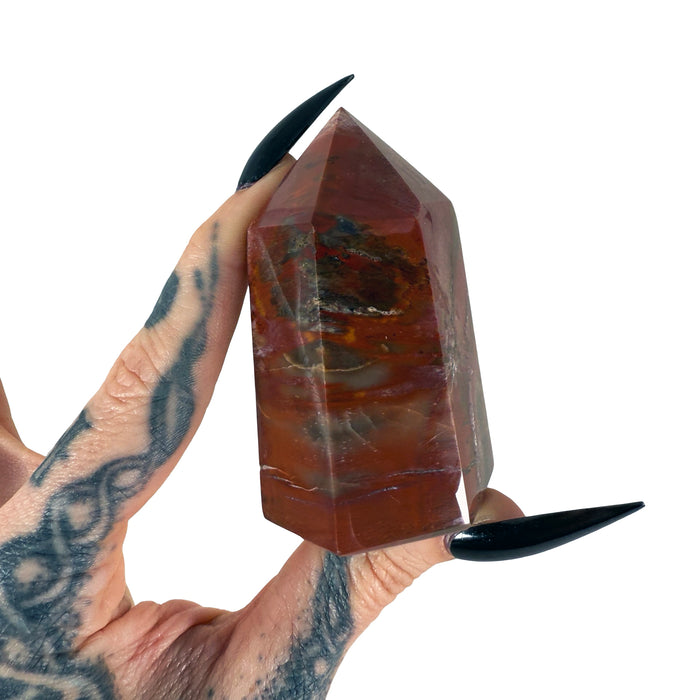 Petrified Wood Tower 10