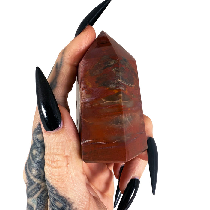 Petrified Wood Tower 10