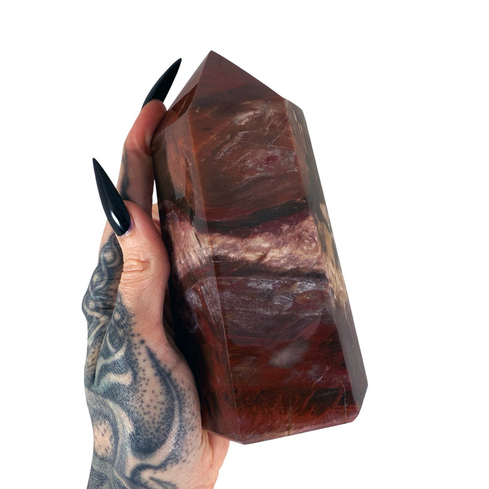 Petrified Wood Tower 1