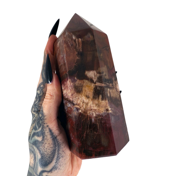 Petrified Wood Tower 1