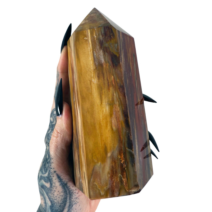 Petrified Wood Tower 4