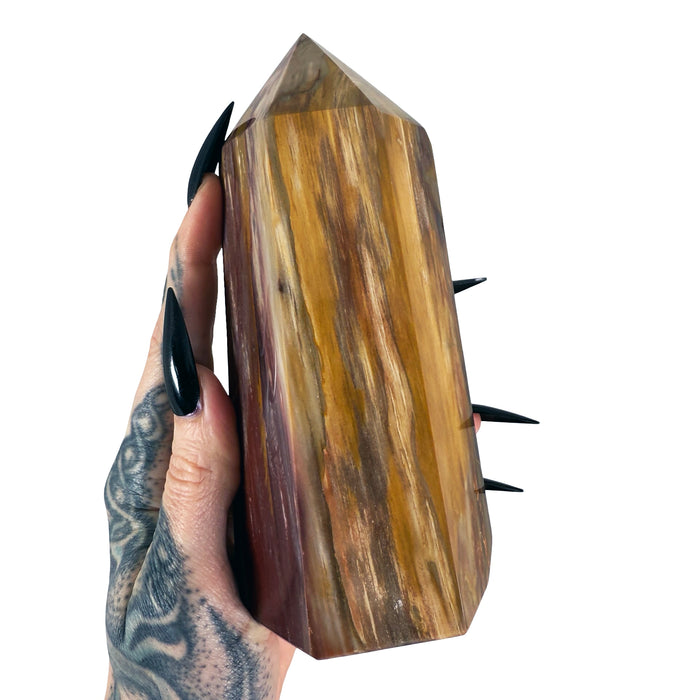 Petrified Wood Tower 4
