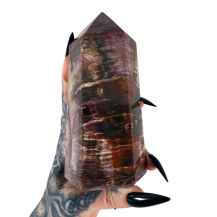 Petrified Wood Tower 5