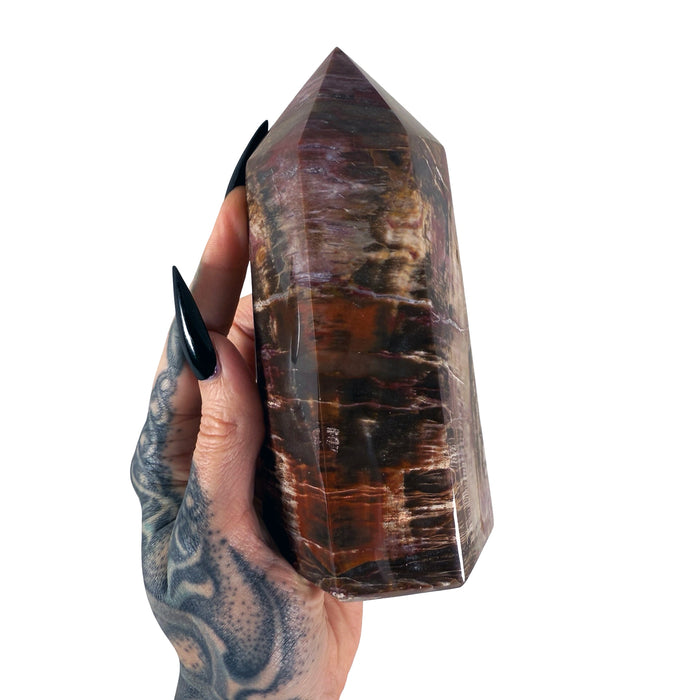 Petrified Wood Tower 5