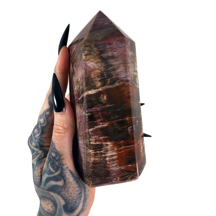 Petrified Wood Tower 5