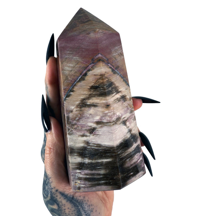Petrified Wood Tower 5