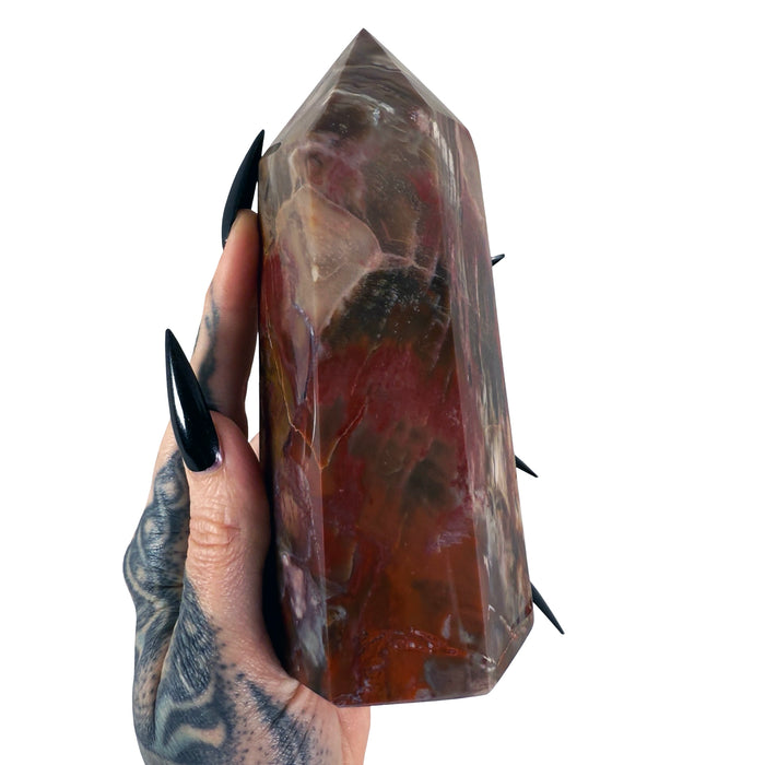 Petrified Wood Tower 6