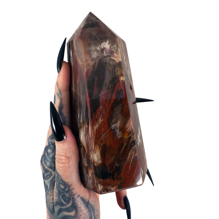 Petrified Wood Tower 6