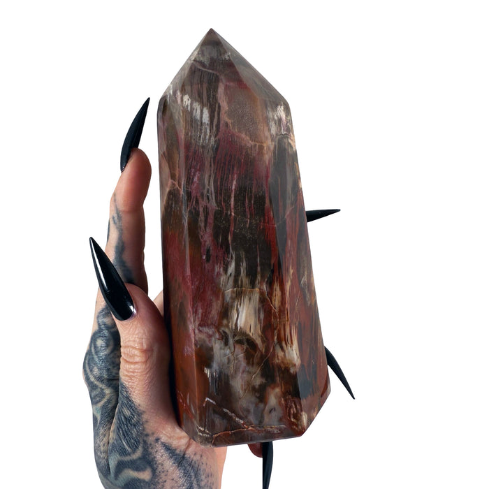 Petrified Wood Tower 6