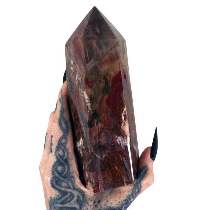 Petrified Wood Tower 6