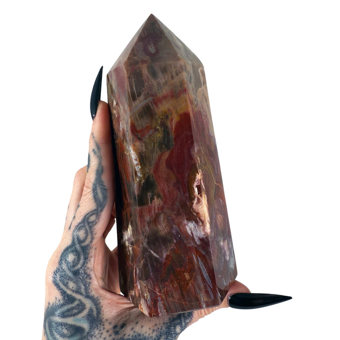 Petrified Wood Tower 6