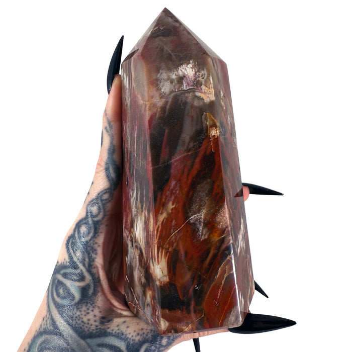 Petrified Wood Tower 6