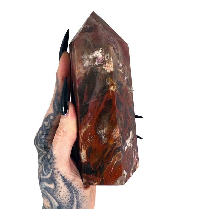 Petrified Wood Tower 6