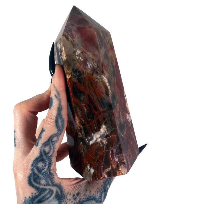 Petrified Wood Tower 6
