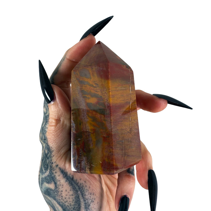 Petrified Wood Tower 7