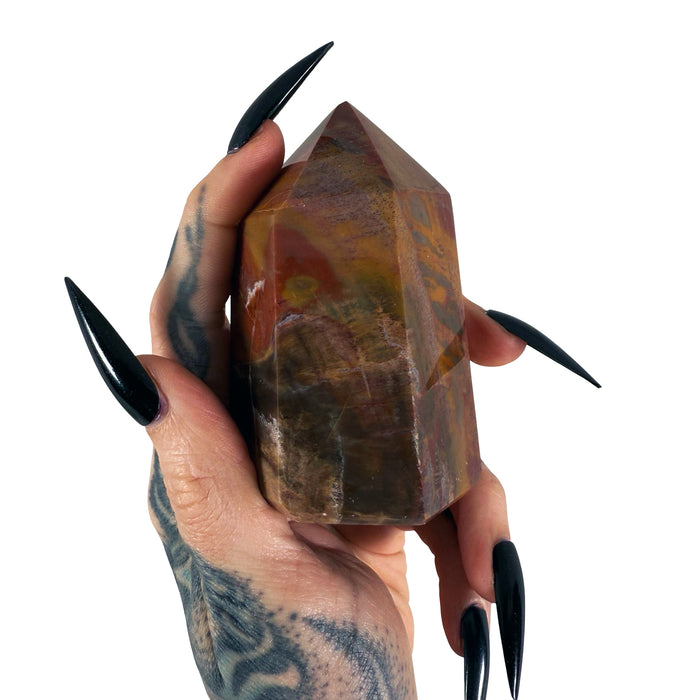 Petrified Wood Tower 7