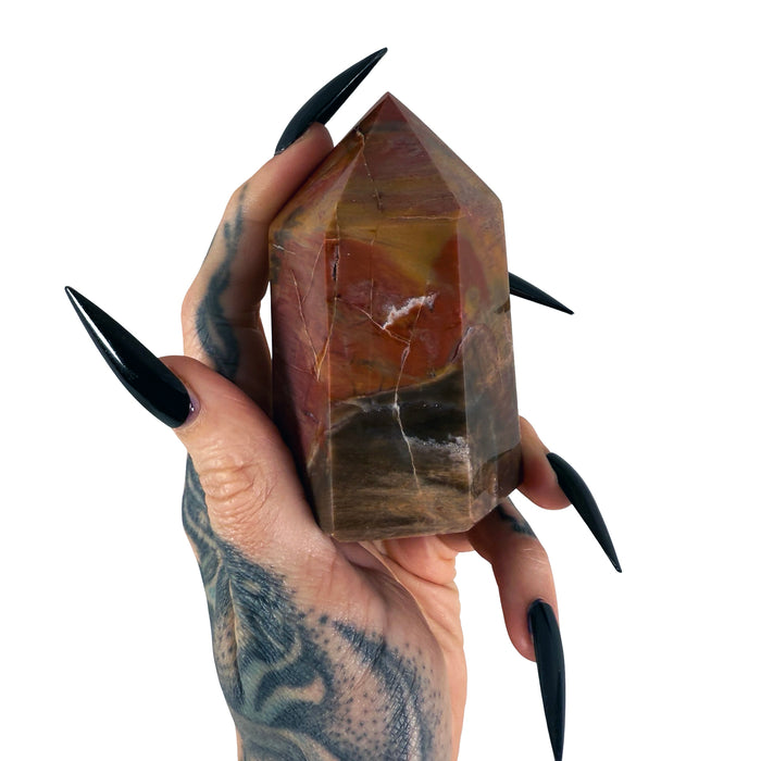 Petrified Wood Tower 7