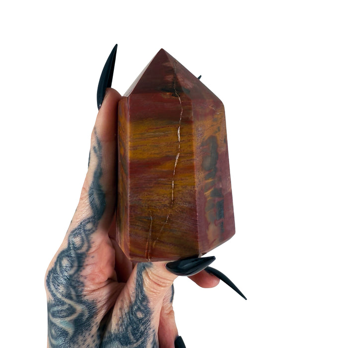 Petrified Wood Tower 7