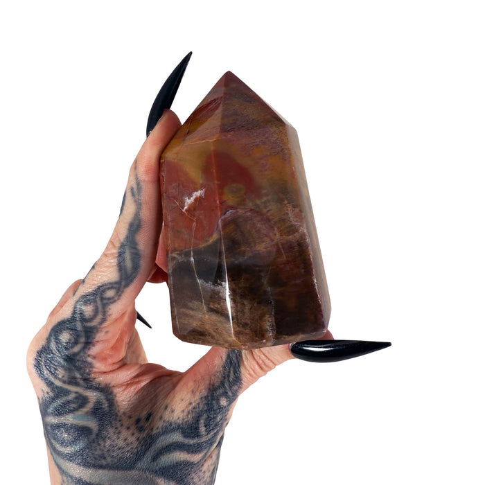 Petrified Wood Tower 7
