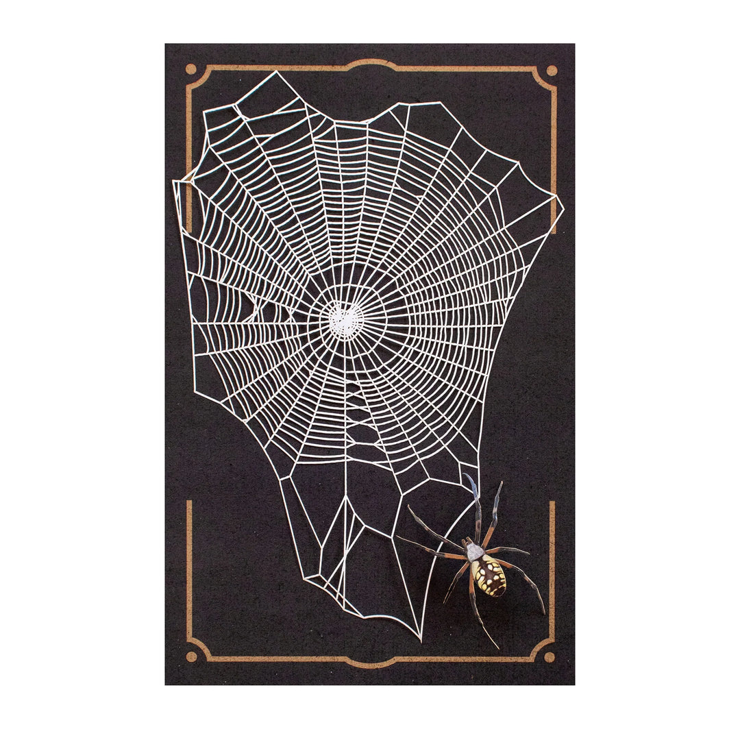 "Weaver" Spiderweb &amp; Spider Set by Moth &amp; Myth
