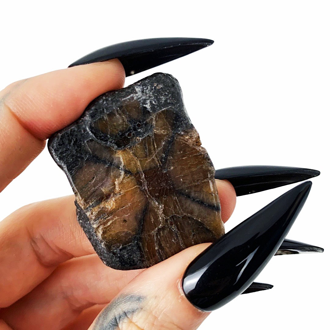 Witches’ Cross Chiastolite Pocket Pebble Palm Stone Haute Macabre Crystal 
