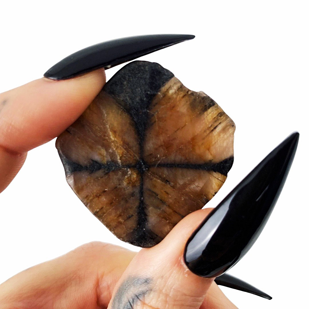 Witches’ Cross Chiastolite Pocket Pebble Palm Stone Haute Macabre Crystal 
