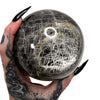 Black Moonstone Sphere 3 *free shipping*