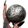 Black Moonstone Sphere 6 *free shipping*