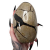 Septarian Dragon's Egg 13