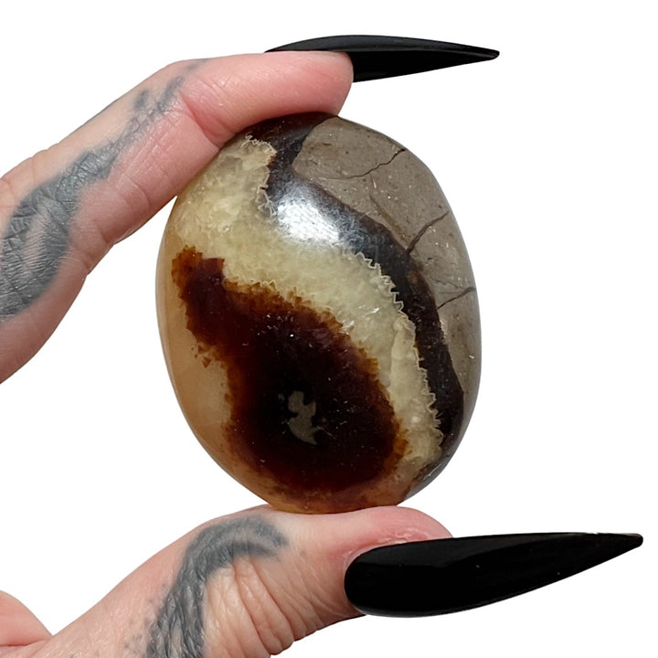 Dragon Stone: Septarian Palm Stone (Small)