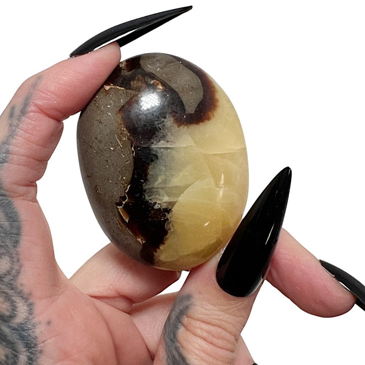Dragon Stone: Septarian Palm Stone (Small)