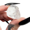 Lemurian Skull 2