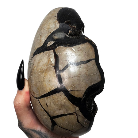 Septarian Dragon's Egg 18