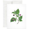Deadly Nightshade Greeting Card by Open Sea Design Co.