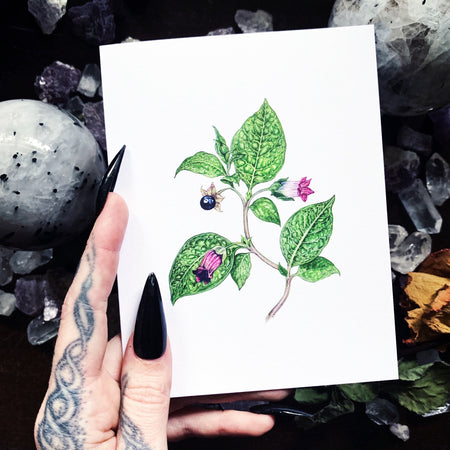 Deadly Nightshade Greeting Card by Open Sea Design Co.