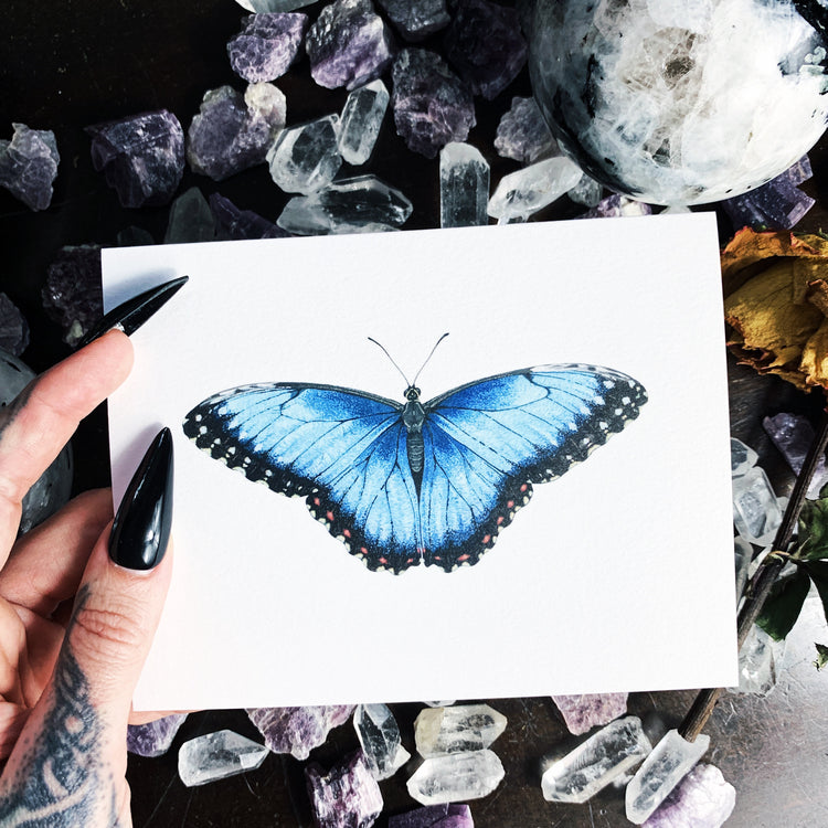 Blue Morpho Greeting Card by Open Sea Design Co.