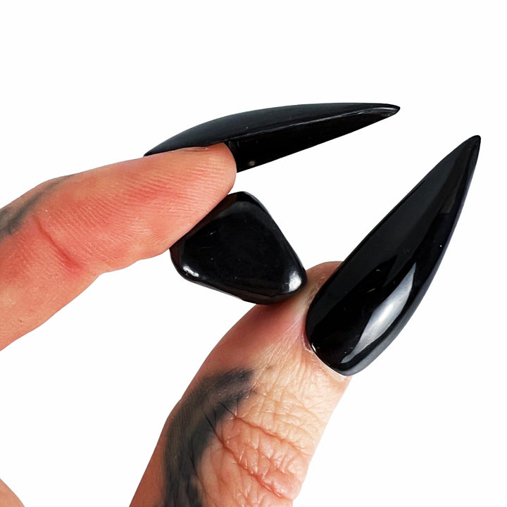 Haunted House: Shungite Pocket Pebble