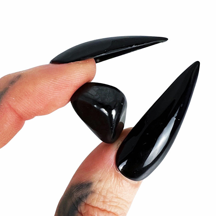 Haunted House: Shungite Pocket Pebble
