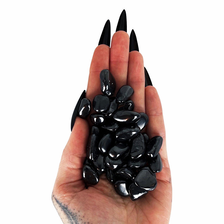 Haunted House: Shungite Pocket Pebble