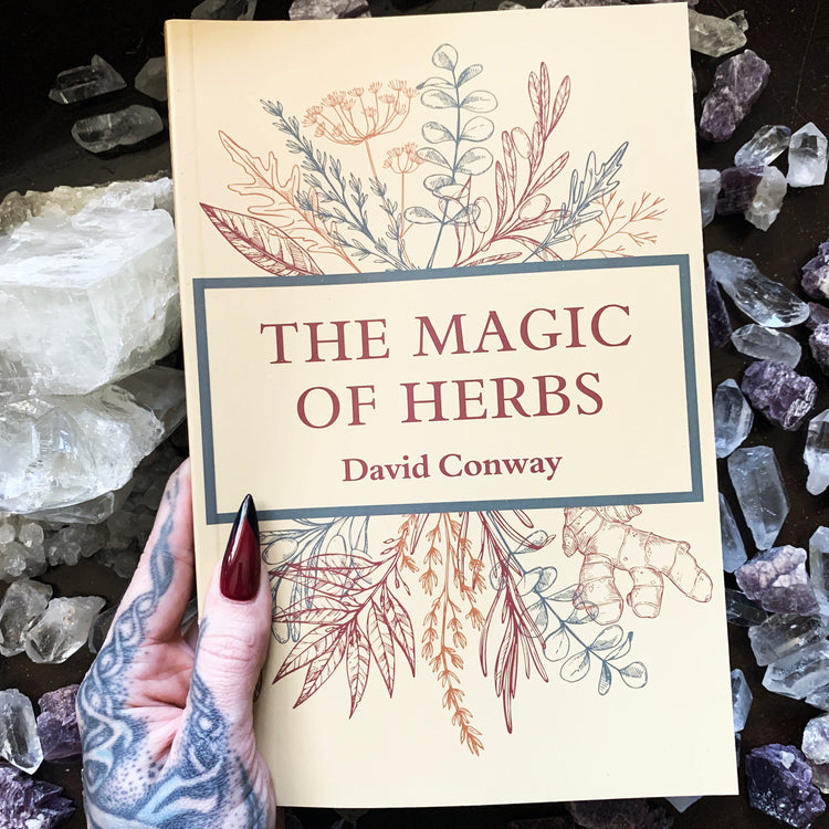 The Magic of Herbs