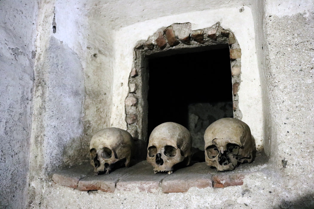 Mummies of Mexico City by Black Phoenix Alchemy Lab