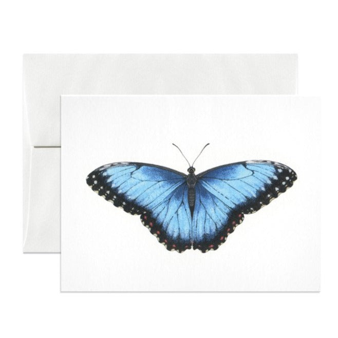 Blue Morpho Greeting Card by Open Sea Design Co.